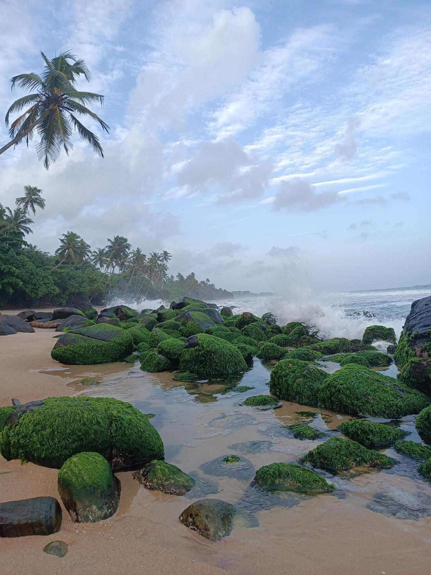 Beach House Kalukatiya - Family Villa, Seaview Room, Garden Room Диквела Екстериор снимка